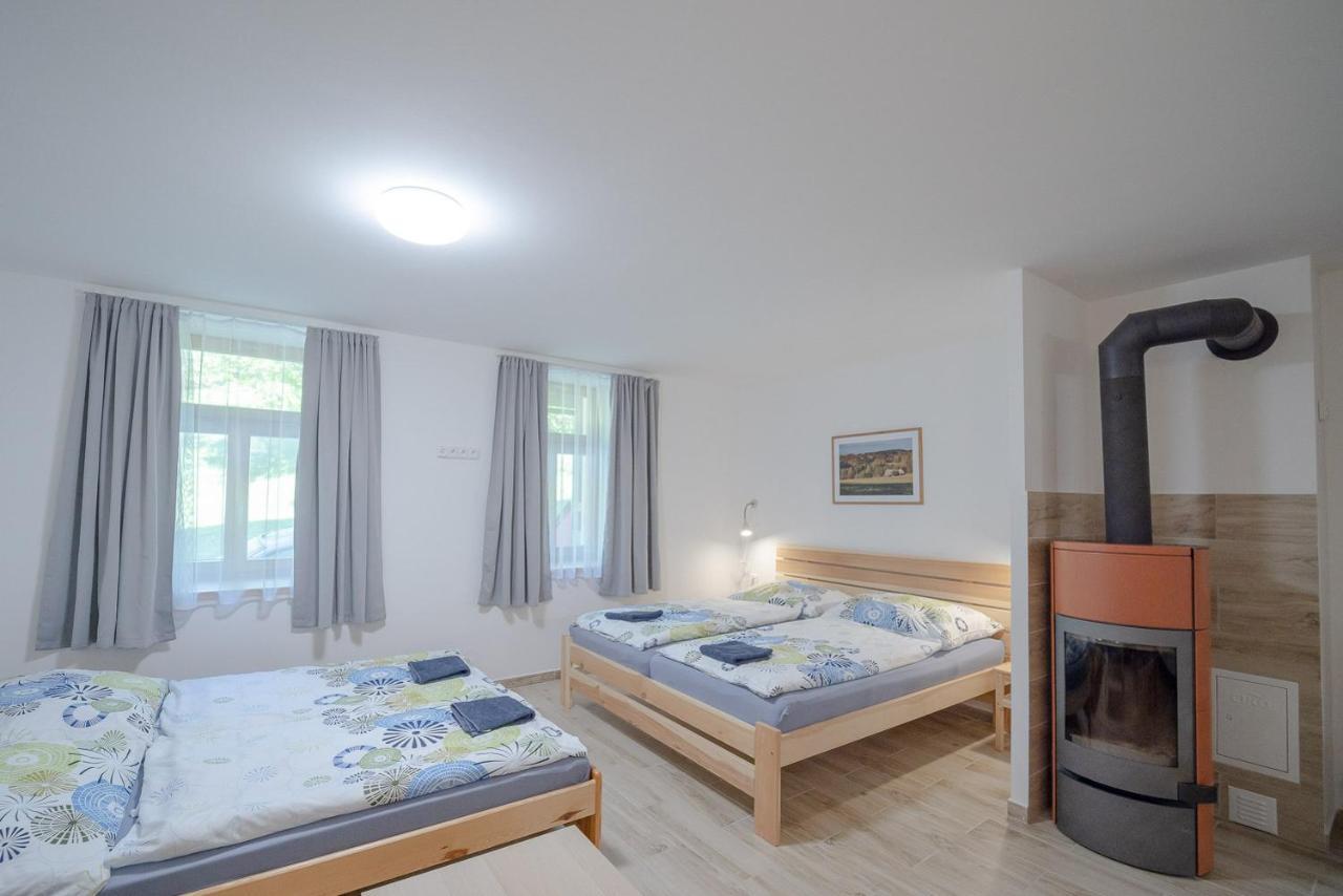 Sedivinske Apartmany - Rodinne Apartmany V Orlickych Horach Kounov Zewnętrze zdjęcie